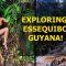 Exploring the Beauty of Essequibo! – Guyana May 2019 Vlog Pt. 2